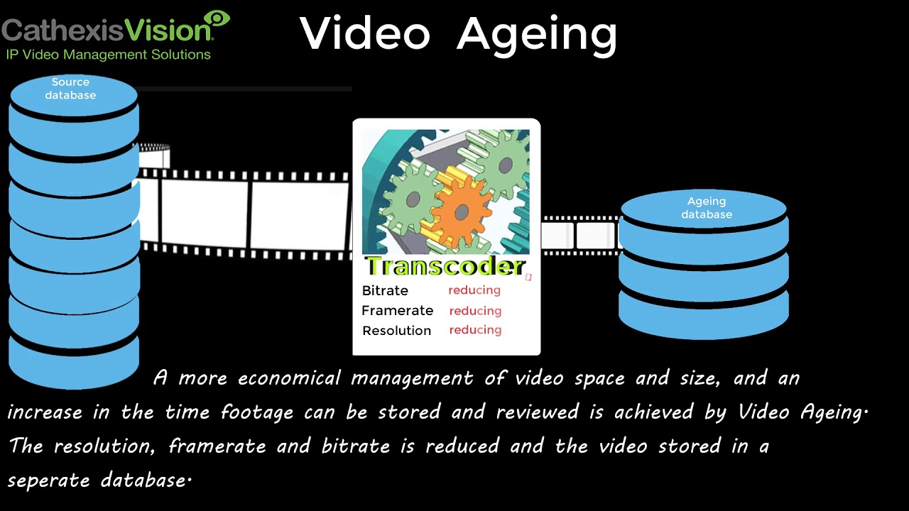 CathexisVision Database Ageing - YouTube