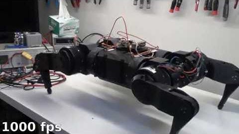 quad A0 - full rate controlled jump