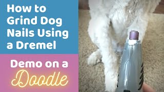 How to Grind Dog Nails Using a Dremel ~ Home Grooming for Dogs by Doodle Doods 3,371 views 3 years ago 6 minutes, 53 seconds