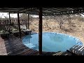 5 Safari Camps to Visit in South Africa