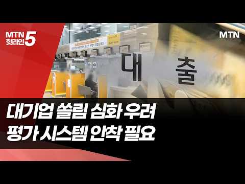 생산적 금융 확대 속 연체율은 빨간불… 대기업 쏠림 키우나 / 머니투데이방송 (뉴스)