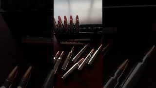 Hornady 223 Rem 73 gr FTX Critical Defense #ammo #boltaction #nato #homedefense #rifle #hornady