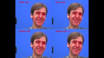 DBASM-KDE FGNET Talking Face Evaluation [ECCV 2012]