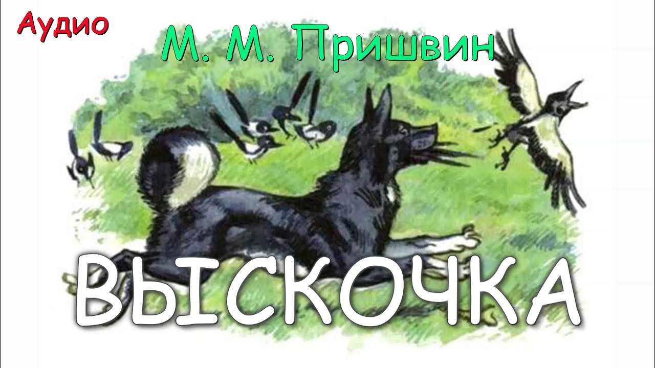 Герои произведения выскочка. Пришвин вьюшка и выскочка. Иллюстрация к произведению м Пришвина выскочка.