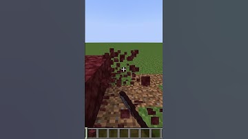 BREAKING 100 NETHERRACK BLOCKS 🎧 Satisfying ASMR: Placing & Breaking Blocks in Minecraft