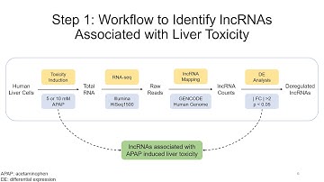 Integrative analysis for functional associations of non-coding RNAs and RNA-binding proteins in mRNA