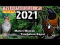 Masteran Burung Terbaru Cililin Cucak Cungkok Sikatan Londo Part Mp3 - Mp4 Download