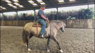 Advert reference - 315255