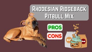 Rhodesian Ridgeback Pitbull Mix: Loyal and Protective! Pros & Cons!