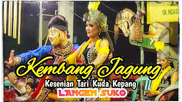 Kembang Jagung Kesenian Tari Kuda Kepang Langen Suko Sindupaten Kertek Wonosobo