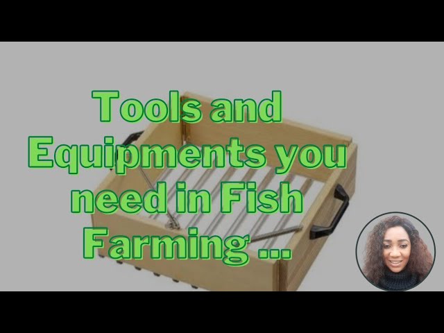 Fishing Tools And Equipment 