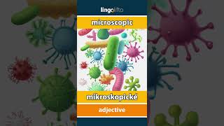 Microscopic - Mikroskopické Learn English Naučme Sa Anglicky Vocabulary Builder