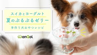 低カロリーおやつ 愛犬の暑さ対策に おうちの製氷皿で作れる超簡単スイカヨーグルトゼリーのレシピ わんクォール