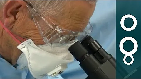 Fighting Back Against 'Intelligent' Drug-resistant Bacteria - Science