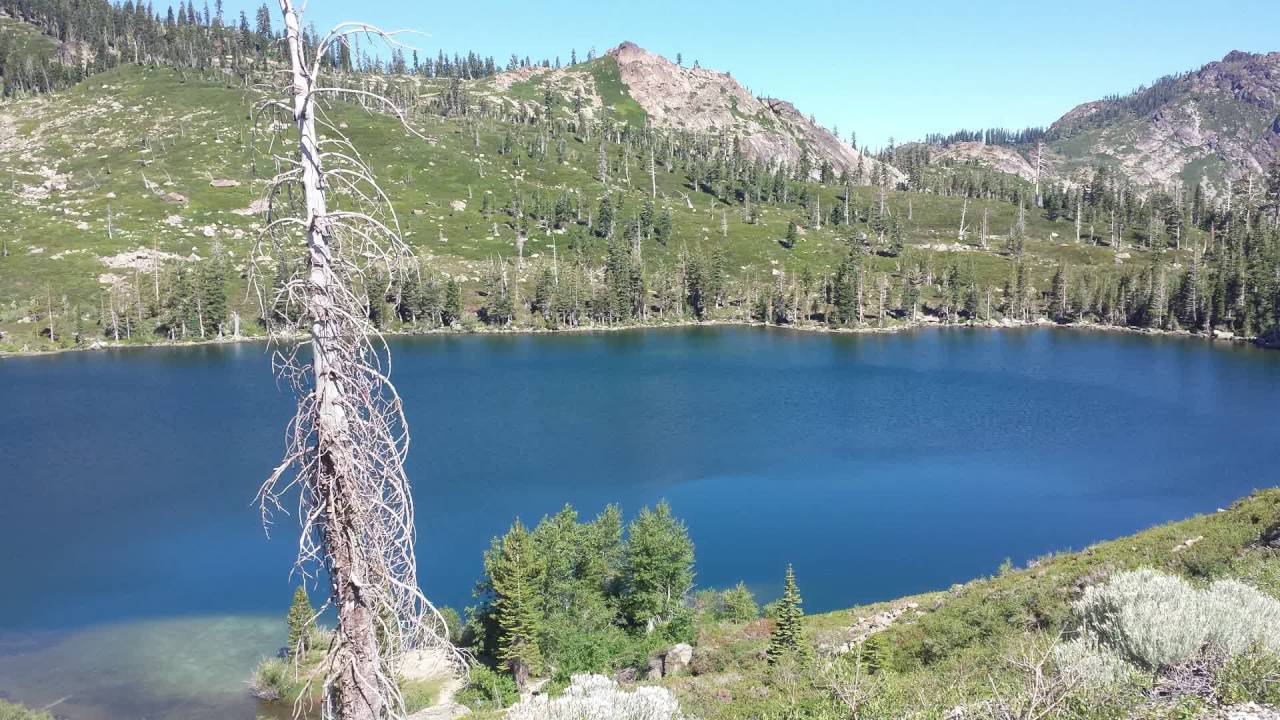 Hiking In Plumas National Forest YouTube