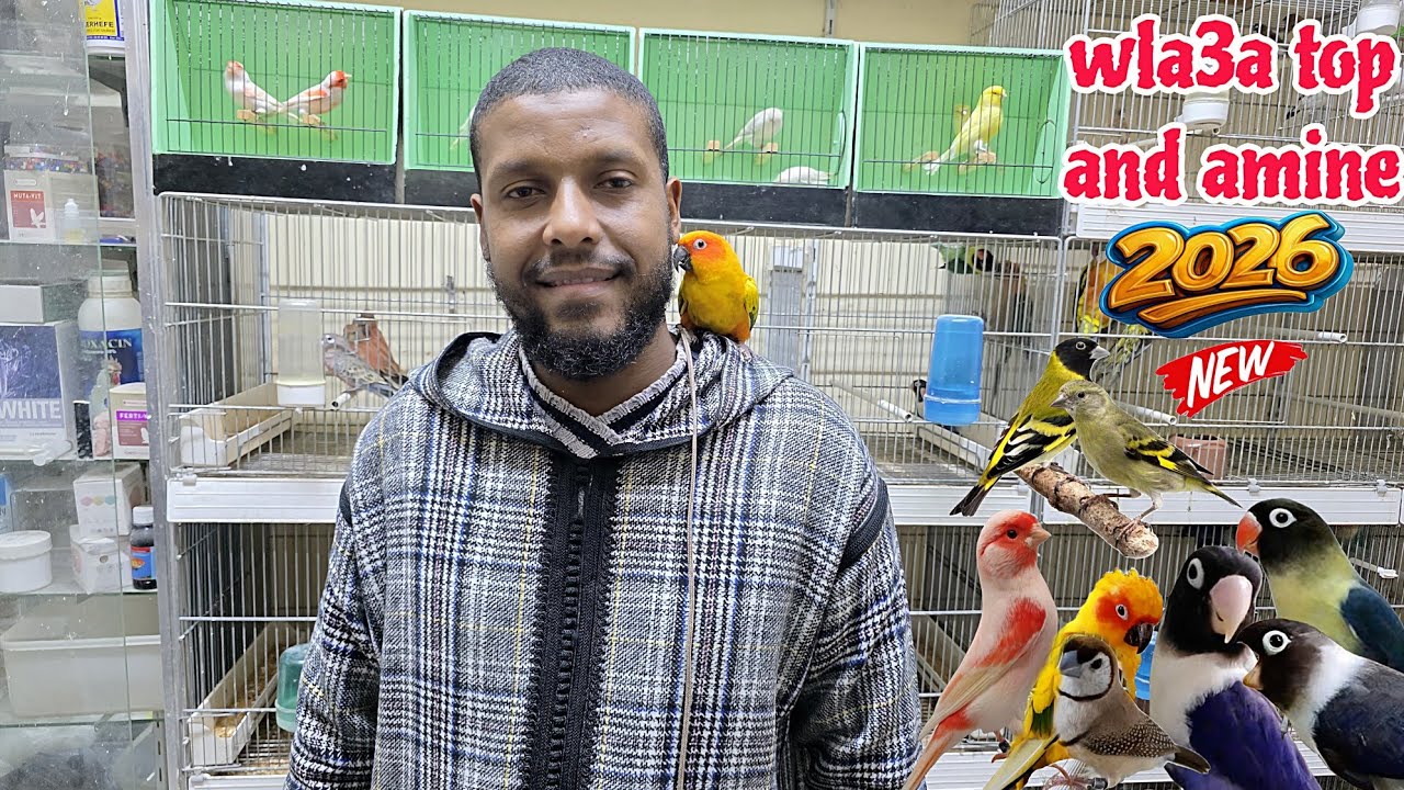 الجديد عند أمين🔥أجيو نتولعو عشاق طفرات الفيشر الكنار إكزوتيك مولينا صولاي فرجة ممتعة على قناتكم عالم