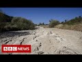 France experiencing worst drought on record – BBC News