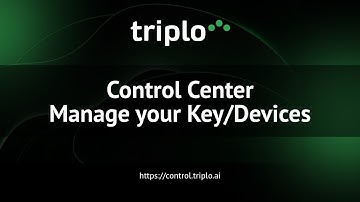 Introducing Triplo AI