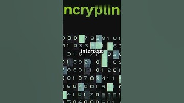 Cryptography Explained: How Your Data Stays Safe with Encryption