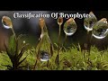 Classification of Bryophytes @CuriousCelll