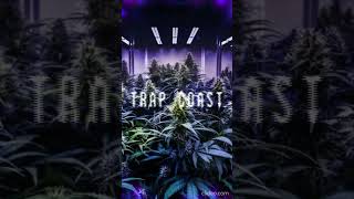 "Trap Coast" - West Coast Synth Sample Loop (Prod. By AmonMusic | 140bpm)