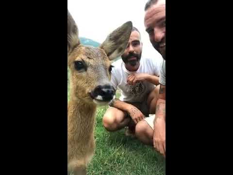 Os presentamos a una nueva habitante del Santuario