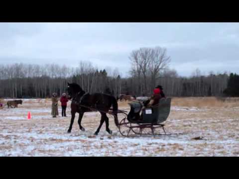 sleigh and cutter rally - YouTube