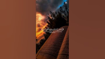 #القارئ_ياسر_الدوسري #سورة_الشعراء #تلاوة_خاشعة #القرآن_الكريم 🎧 🤍