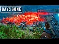 Days Gone - STEALTH KILLING AN ENTIRE HORDE | Days Gone Free Roam Gameplay (#28)