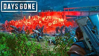 Days Gone - STEALTH KILLING AN ENTIRE HORDE | Days Gone Free Roam Gameplay (#28)