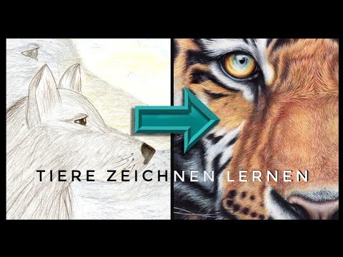 15 GENIALE TIPPS für das Malen und Zeichnen lernen von Tieren - für Anfänger | Vitas Artwork