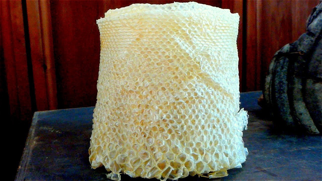 Змеиная Кожа. Рулон Змеиной Кожи. Сброшенная Змеиная Кожа в Рулоне ...