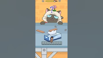 HİDE&SEEK CAT ESCAPE 11😻 #hideandseekgame #catescapegame #cats