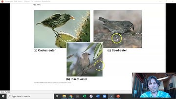 Chap 22 part 2: Evidence for Evolution
