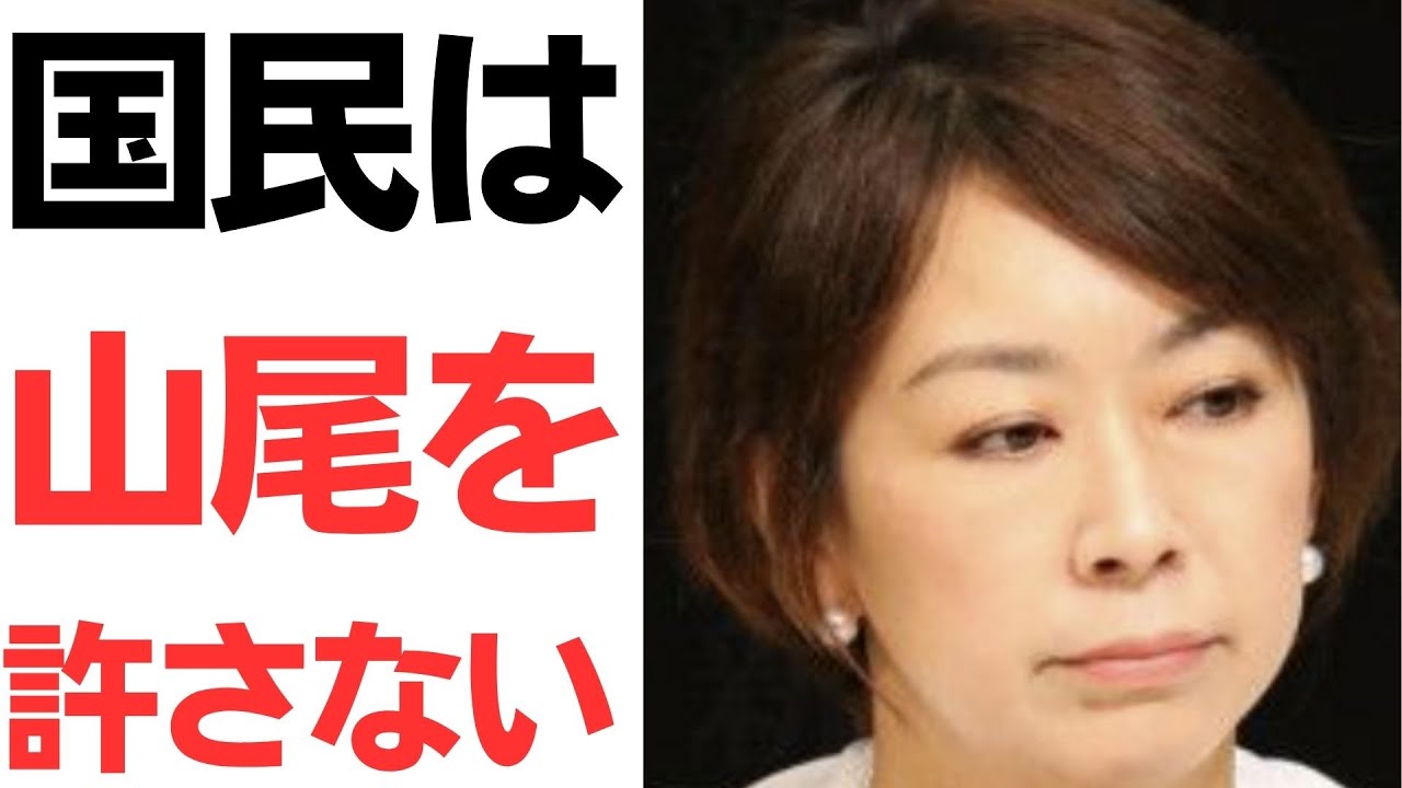 山尾志桜里氏をめぐる報道と会見・政治活動への反応｜動画内容を整理のサムネイル