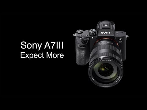 Sony A7III Camera Review