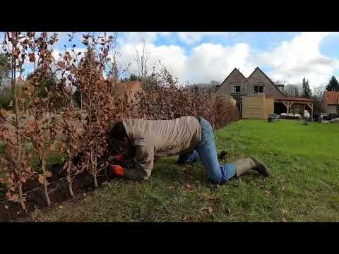 Video: Hoe heg jy 'n bedskerm aan?