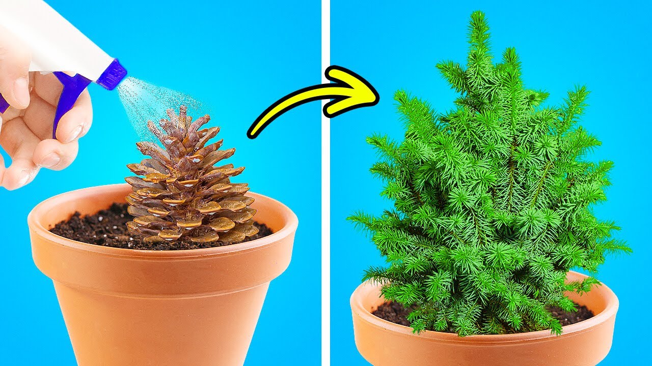30+ Clever Plant Hacks For Your Home Garden - YouTube