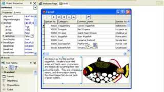 Delphi Programming Tutorial #24 - DBGrid OnDrawColumnCell