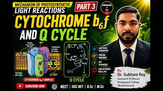 Photosynthesis Light Reaction Part 3 | Cytochrome b6f &amp; Q Cycle Explained Clearly 🔥