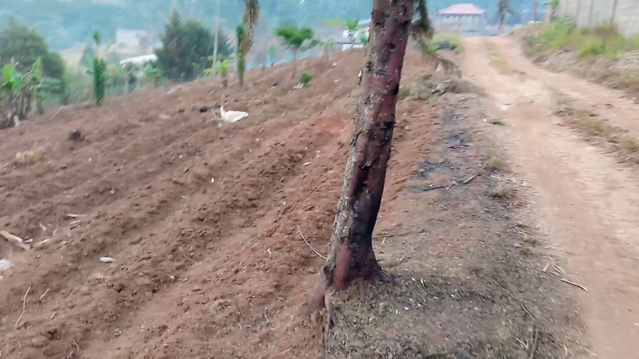 Land for sale Up Station Bamenda YouTube