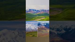 Denali national park in Alaska