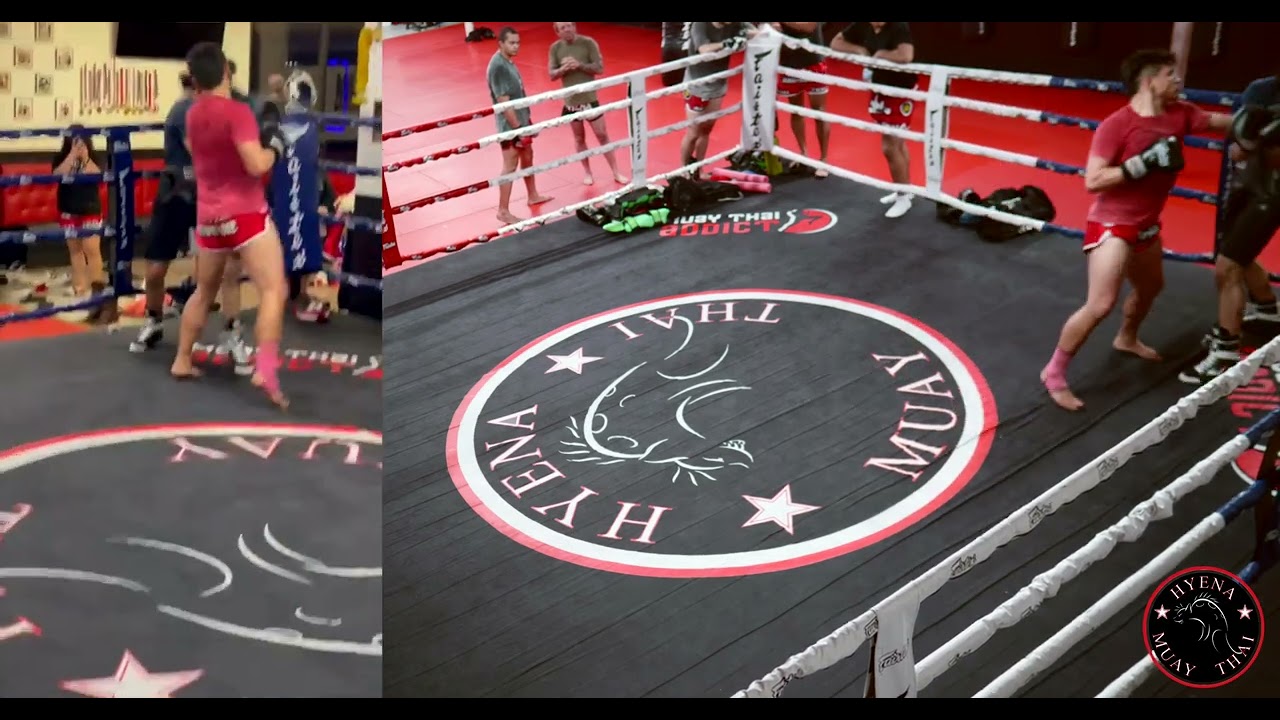 Guy wanted to spar Rommel (Boxing Only)