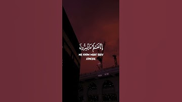 تلاوة بصوت جميل فلا يحزنك قولهم من سورة يس