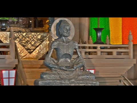 Video: Mindfulnessin harjoittaminen (buddhalaisuus): 11 vaihetta (kuvilla)