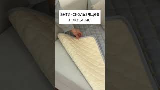 IMG 3460