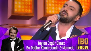 Taylan Özgür Ölmez - BU DAĞLAR KÖMÜRDENDİR & MAMUDO Resimi