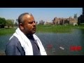 معاناة مزارعى أبو النمرس بالجيزة معاناة مزارعى أبو النمرس بالجيزة