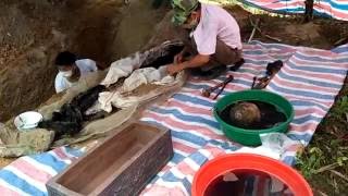 Bốc mộ cụ Tuyên - Tuyên Quang