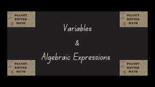Algebra Basics: What Are Variables and Expressions